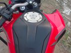 Honda Hornet single disk 2019