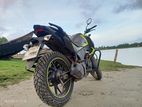 Honda Hornet , 2019
