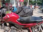 Honda Livo 110 Disc . 2019