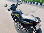 Honda Livo 110 Disc . 2024