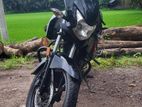 Honda Livo 2021