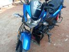 Honda Livo 110 Disc . 2023