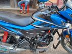 Honda Livo CBS break 2024