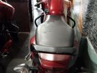 Honda Livo SD 2019