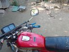 Honda Scoopy 110 মটর সাইকেল 2024