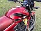 Honda Shine CB 2014