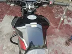 Honda Shine black 2025