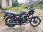 Honda Shine CB SD BLACK RED 2017