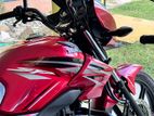 Honda Shine SP CBS 2023