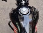 Honda Shine SP CBS 2024