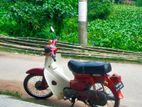 Honda Super cub . 2024