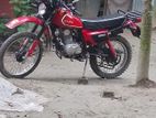 Honda XL 2014