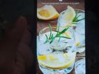 Honor 8X 4gb 128gb (Used)