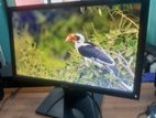 HP 19 inch Monitor