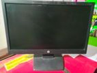 HP 19 Inch Monitor