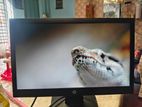 Hp 19 inch monitor