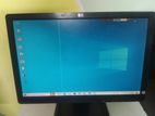 HP 19" Monitor