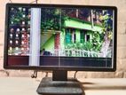 HP 19.5" Monitor