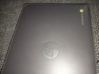 hp Chromebook