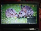 Hp Core I5 7th Gen 8/256