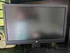 HP LCD Monitor 19"