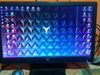 HP 19" Monitor