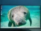 Hp M22f Full Hd 22" Monitor in Fresh Condition
