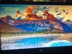 HP monitor (17")