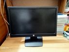 HP Monitor V194