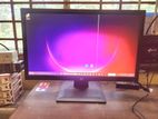 HP P204 20 inch Monitor