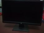 HP P204v 19.5 Inch HD LED Monitor (HDMI, VGA)