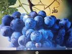 HP ProBook 4540s