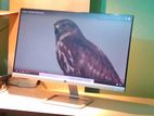 Hp Series 524sf 23.8" 100hz Fhd Ips Monitor