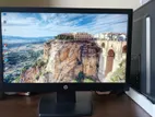 HP V194 19" Inch Monitor Super Condition Like New