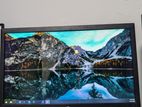 Hp V194 Monitor 18.5 Inch