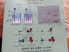 HSC science ar boi cemetery 2nd paper