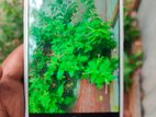 Huawei GR5 3/32 gb ram (Used)