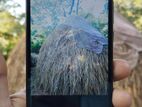 Huawei Honor 7s (Used)