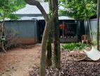 House for sell