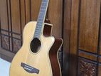 Ibanez Acoustic (model - Aeg8e-nt)