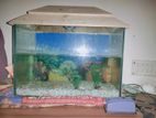 Aquarium for sell