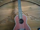 Ukulele for sell