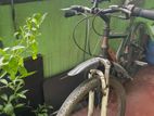 Duranta Bicycle for sale