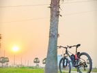 ইমারজেন্সি সেল করা হবে