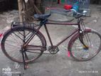 Bicycle for sell.