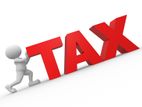 Income Tax Services