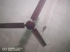 FAN FOR SELL