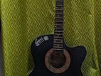 Indian signature guitar for sale