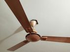 Indian usha fan