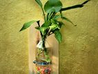 Indoor Plant Craft